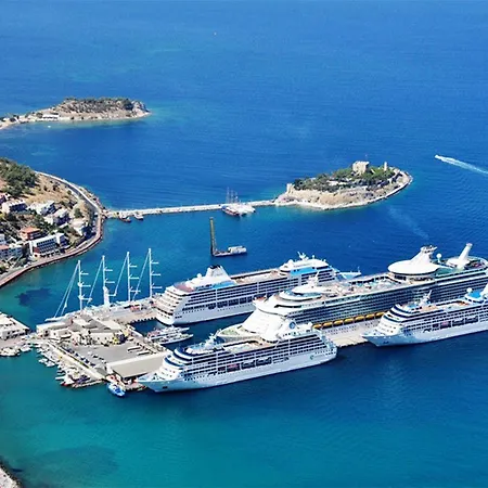 Fortin クシャダス